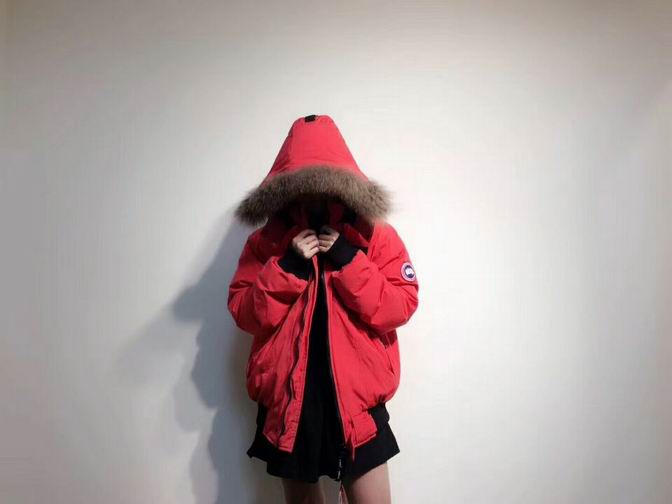 canada goose-016